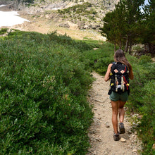 Load image into Gallery viewer, Topo Designs x Chaco Klettersack
